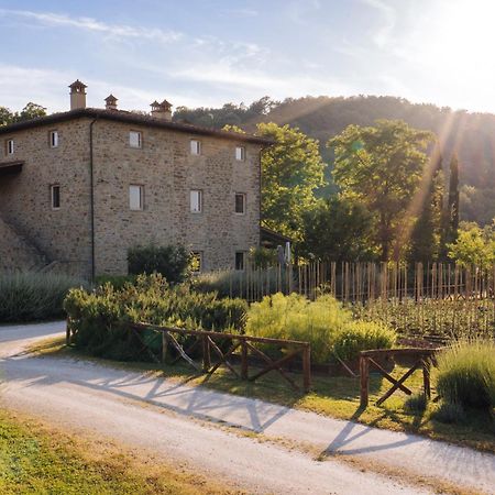Cuprena Villa Arezzo Dış mekan fotoğraf