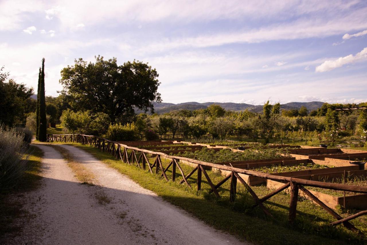 Cuprena Villa Arezzo Dış mekan fotoğraf