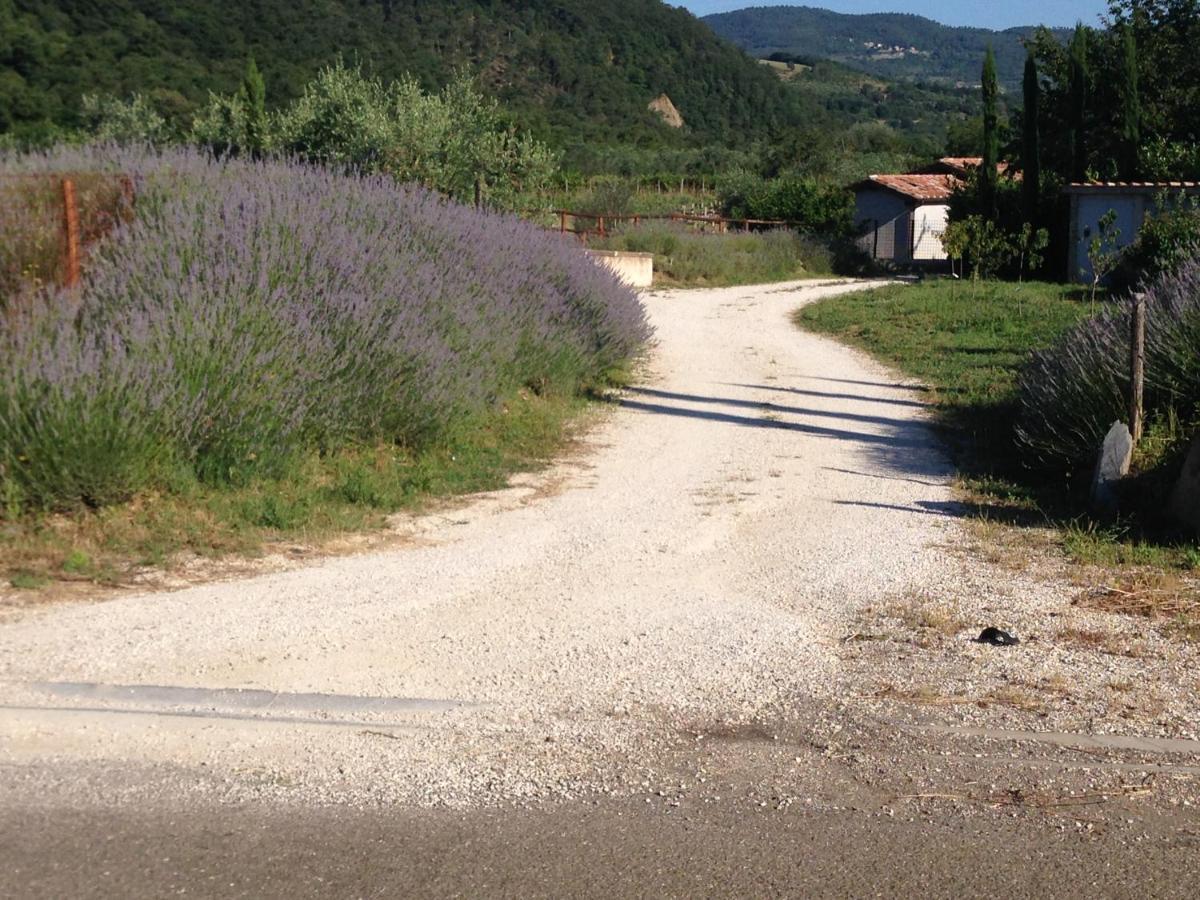 Cuprena Villa Arezzo Dış mekan fotoğraf