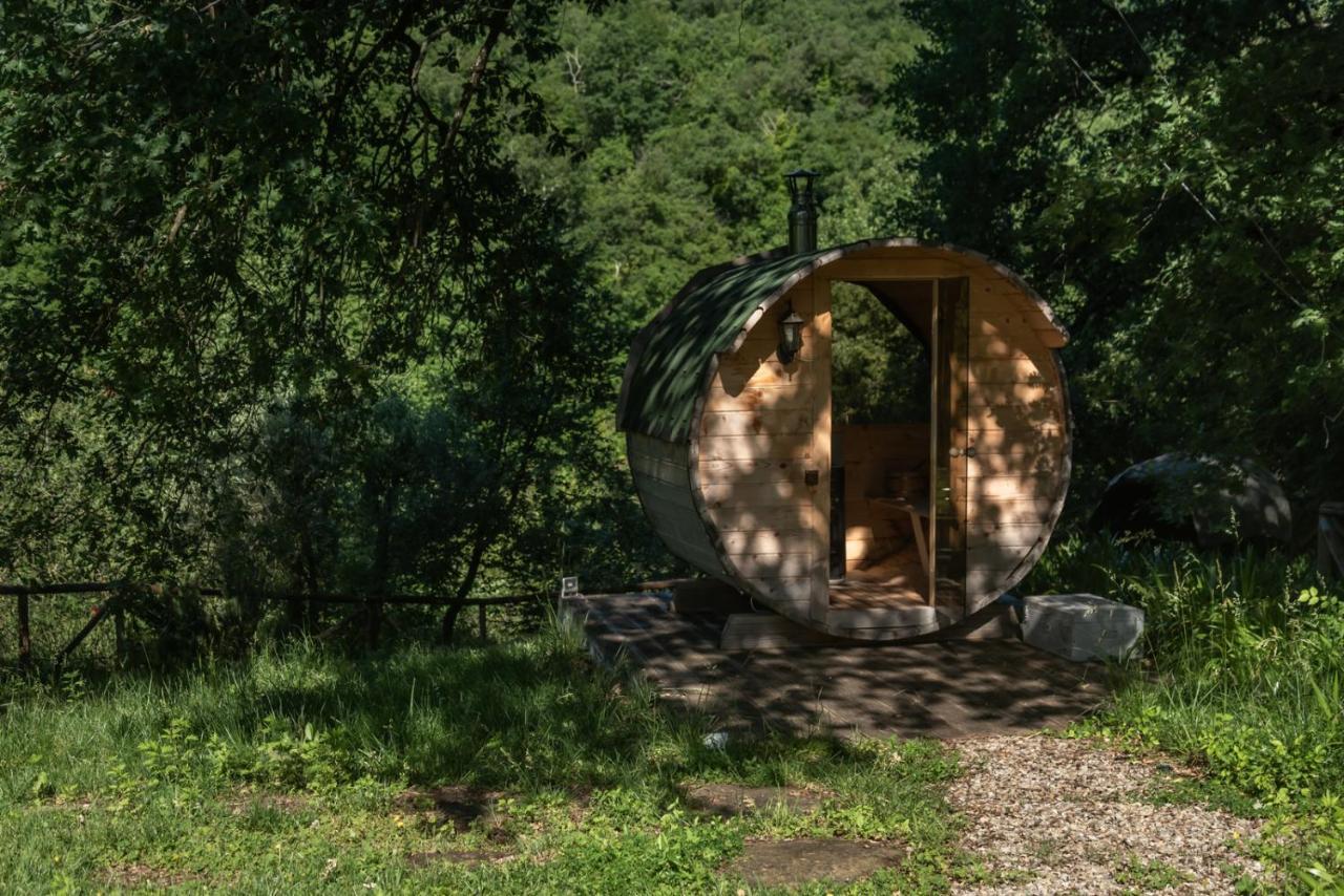Cuprena Villa Arezzo Dış mekan fotoğraf