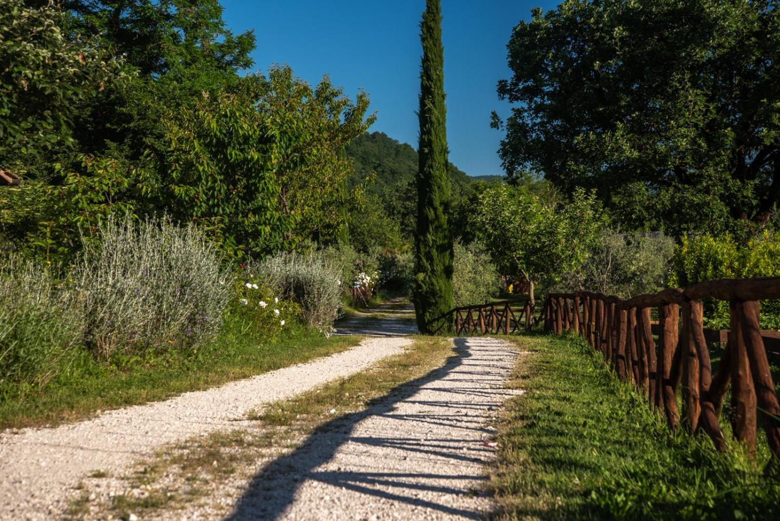 Cuprena Villa Arezzo Dış mekan fotoğraf