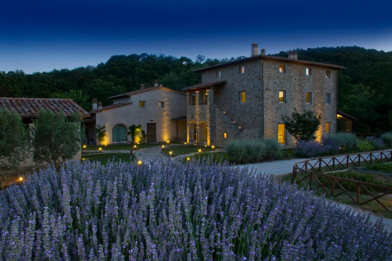 Cuprena Villa Arezzo Dış mekan fotoğraf